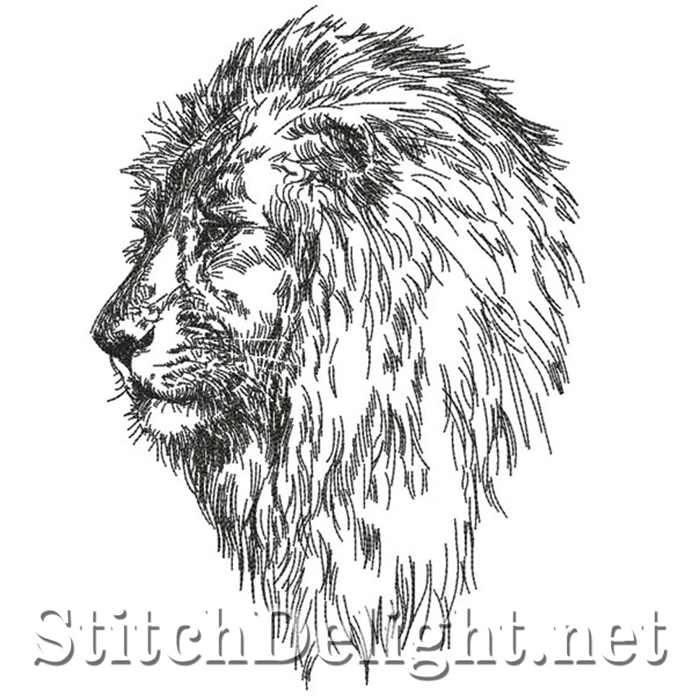 <transcy>SDS0747 Bleistiftskizze Löwe</transcy>