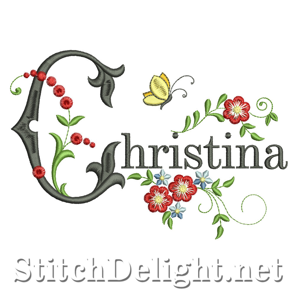 <transcy>SDS1009 Christina</transcy>