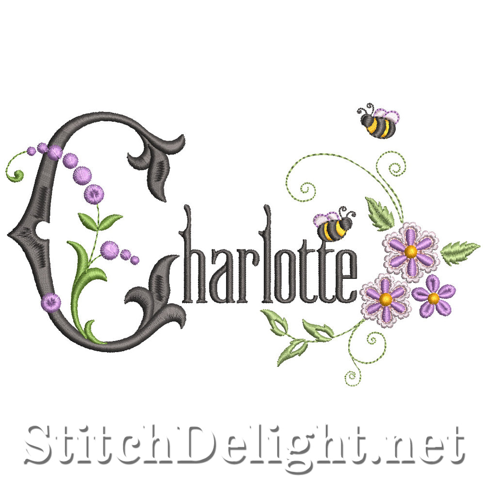 SDS2162 Charlotte