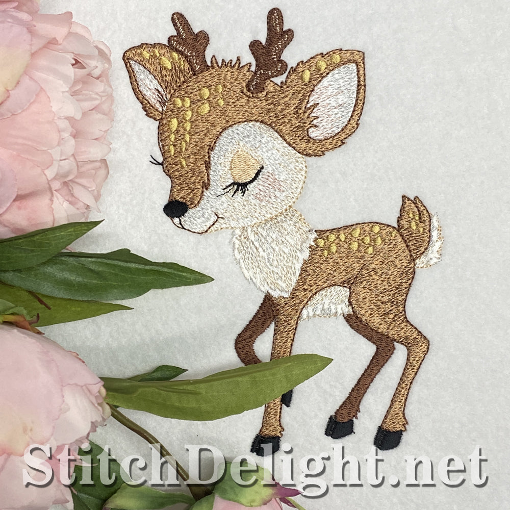 SDS1756 Buttercup 5x7