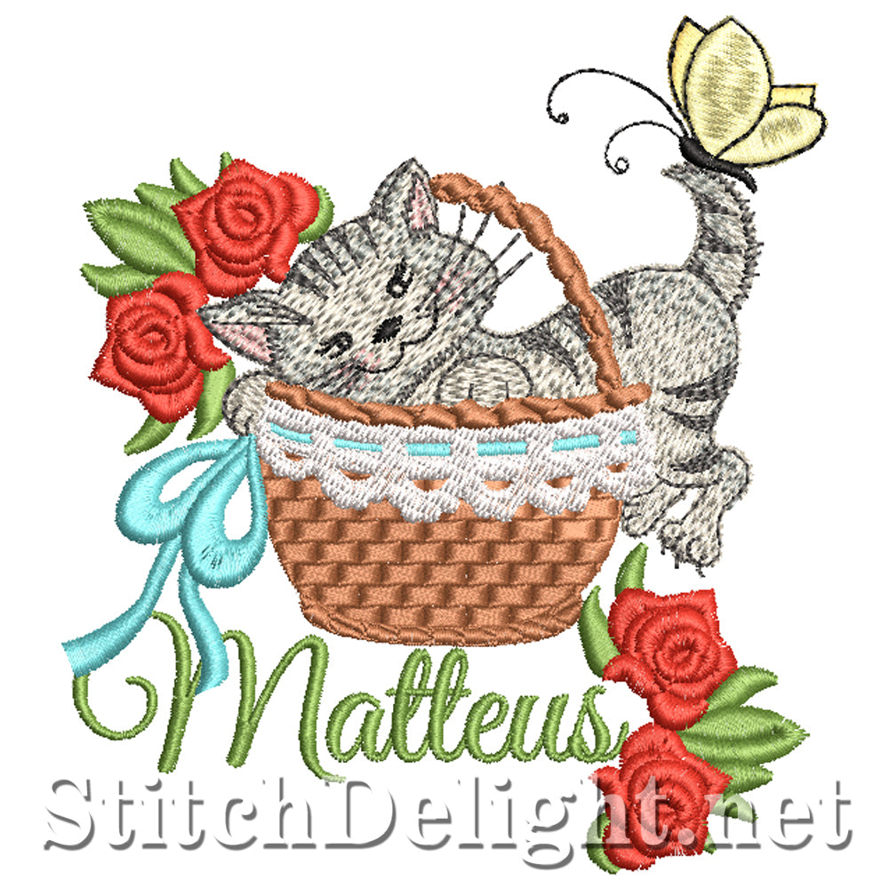 SDS5384 Matteus