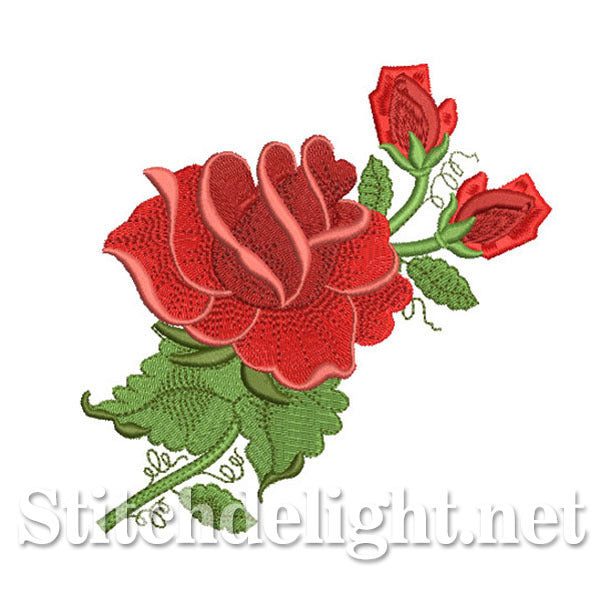<transcy>SDS0694 Rote Rose</transcy>