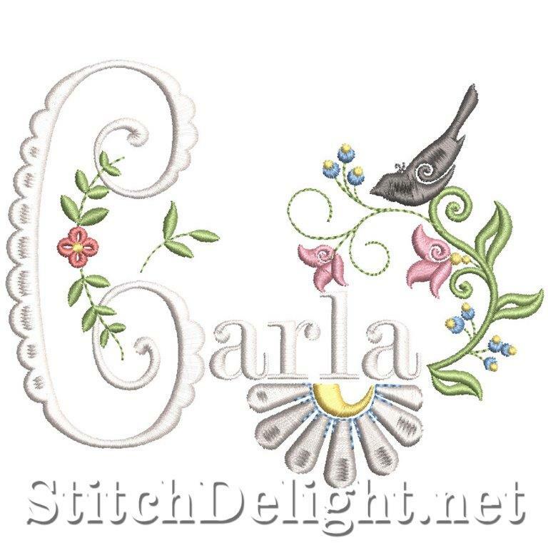 SDS2024 Carla