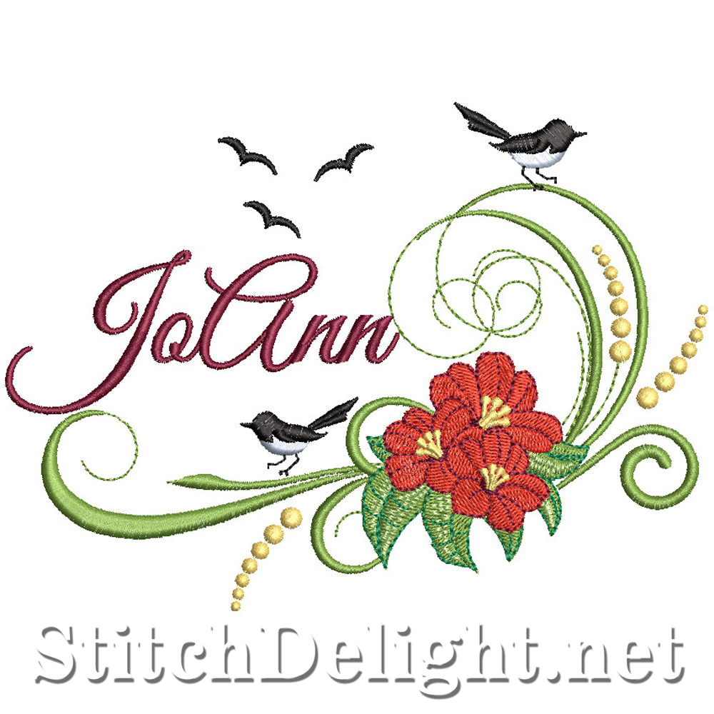 SDS2311 JoAnn