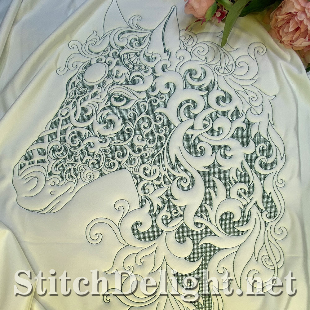 Portrait beauté équestre SDS1780