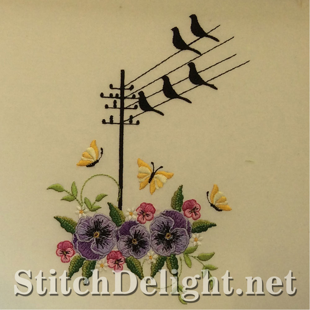 SDS0675 Jolies pensées