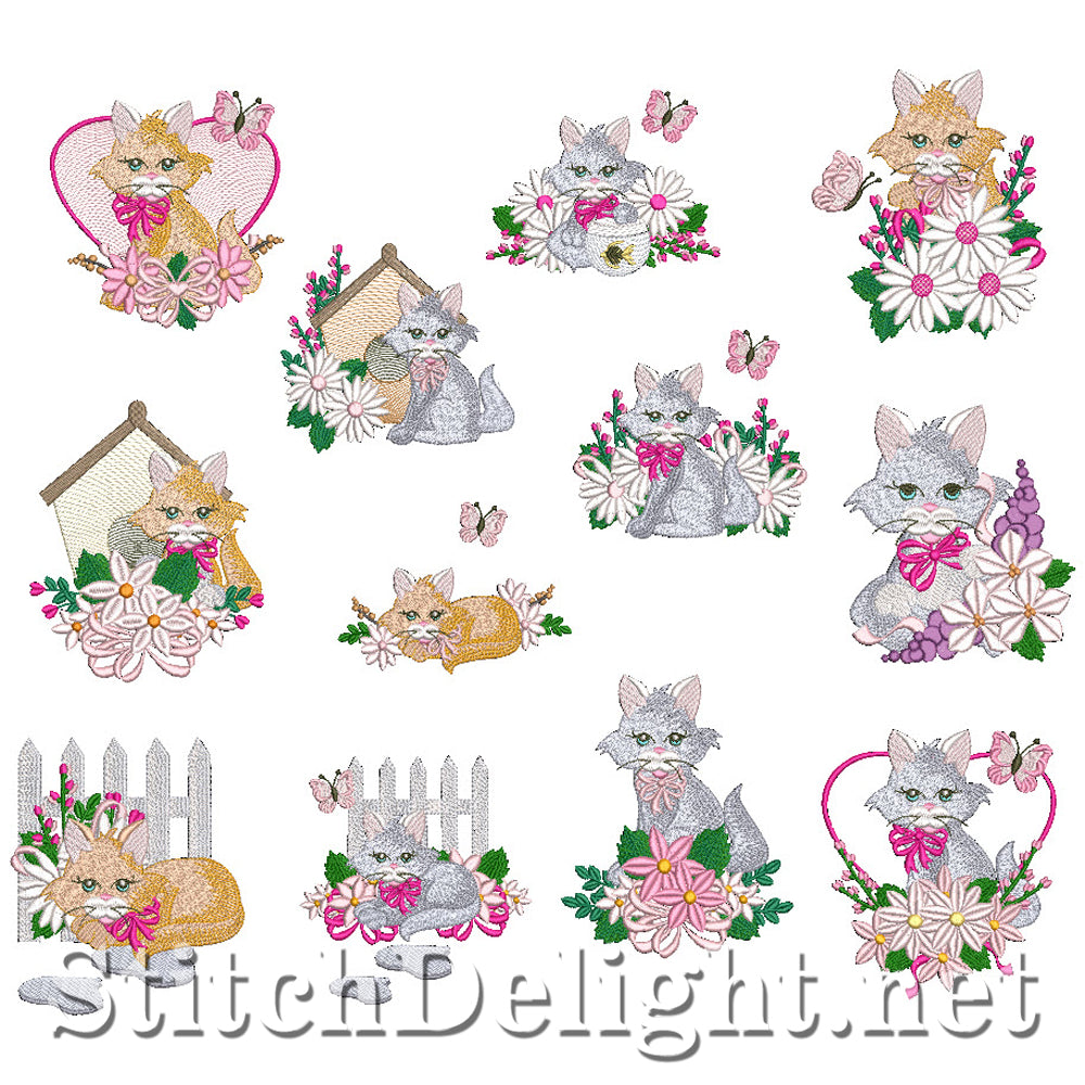 SDS3115 Kitty Kat