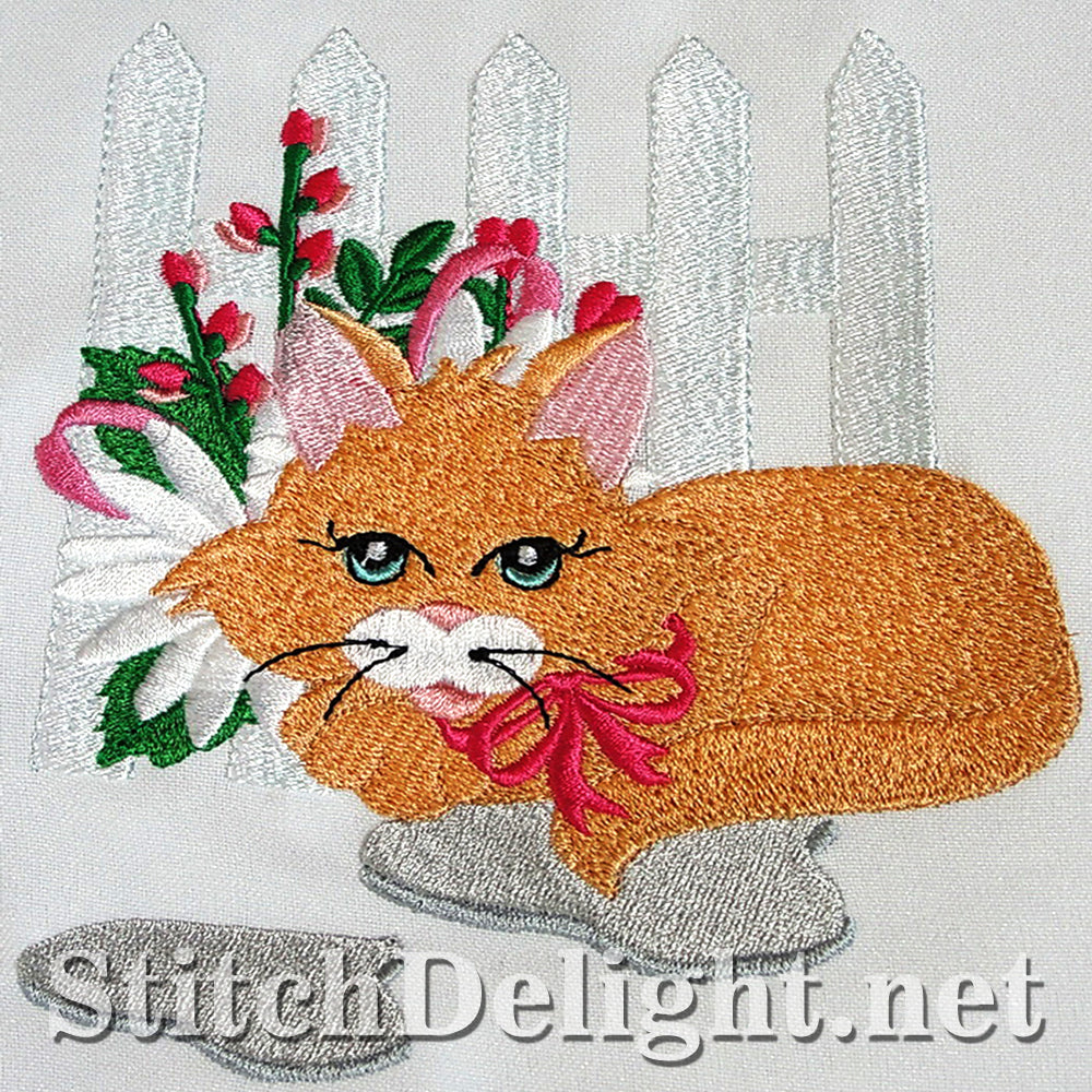 SDS3115 Kitty Kat