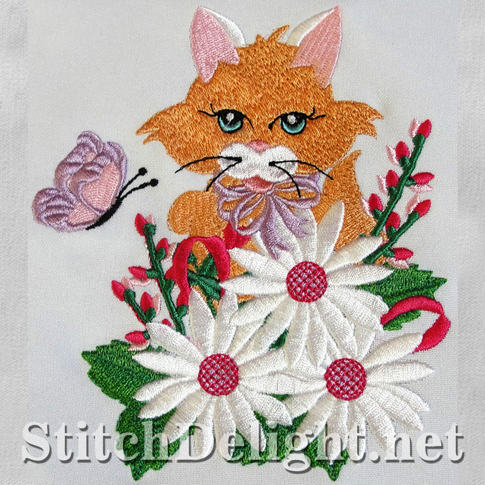 SDS3115 Kitty Kat