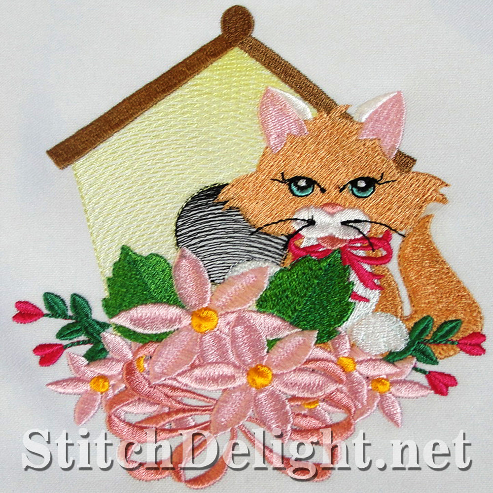 SDS3115 Kitty Kat