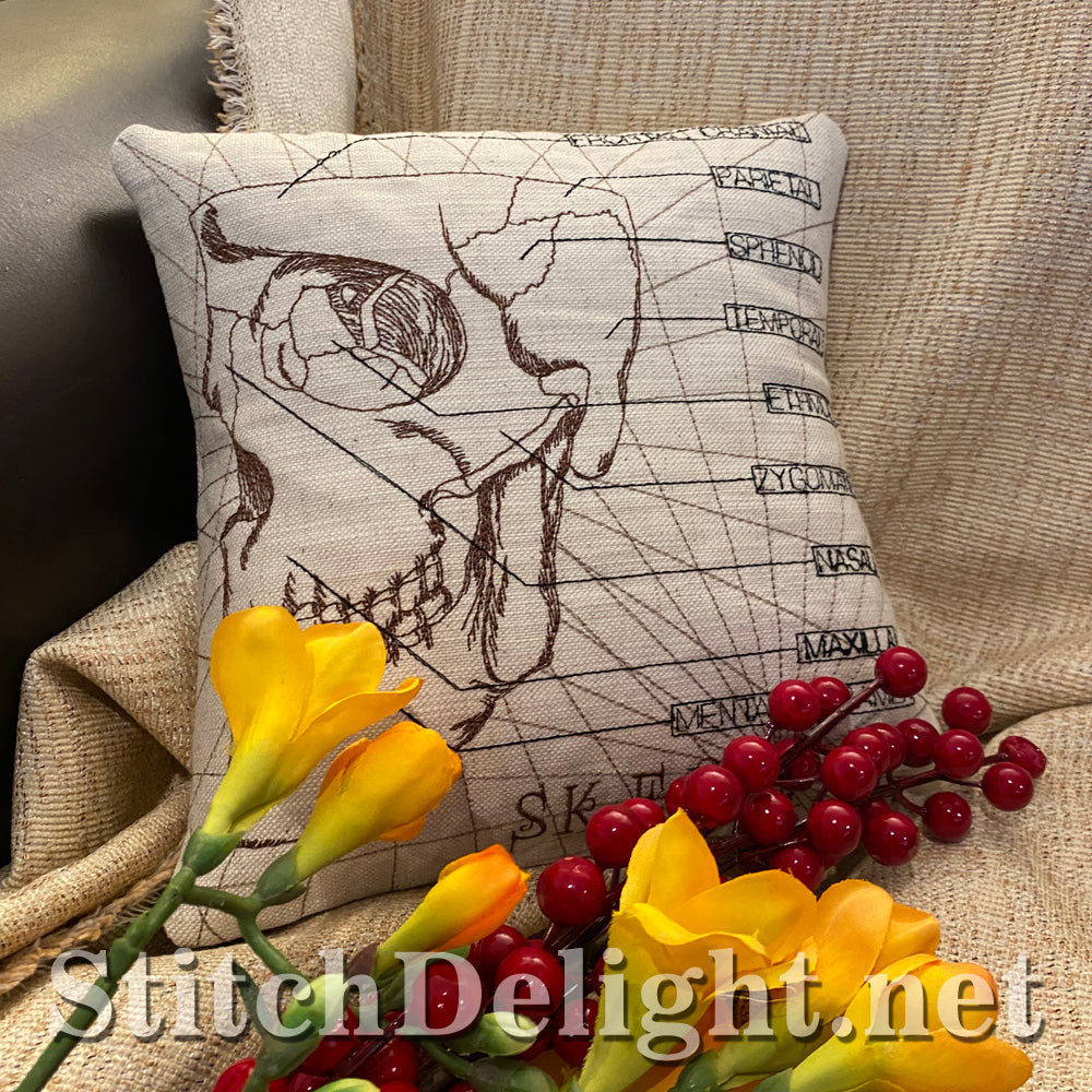 SDS3130 Skeletal Skull 6X8