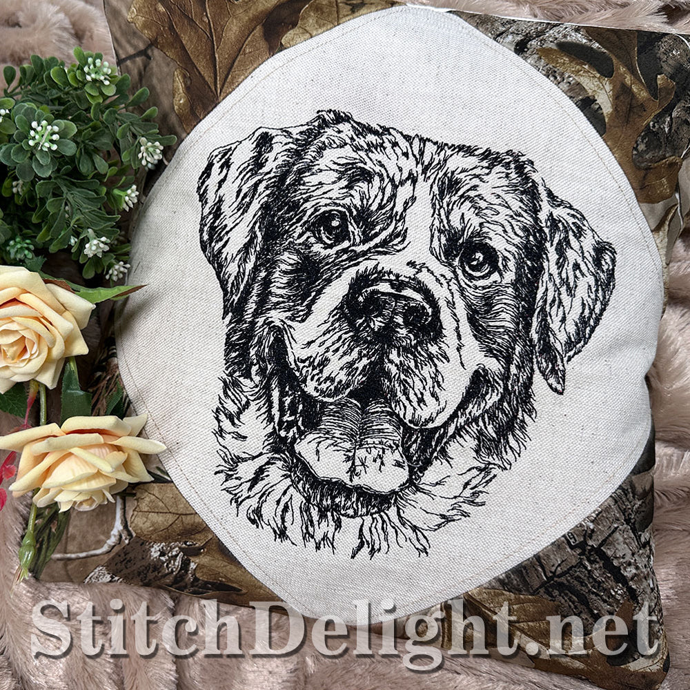 SDS4222 Pencil Sketch Rottweiler