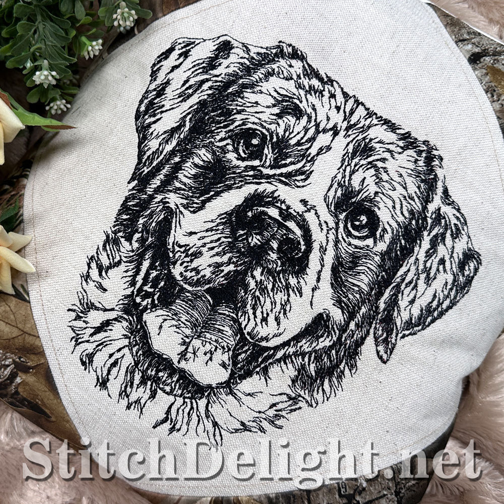 SDS4222 Pencil Sketch Rottweiler
