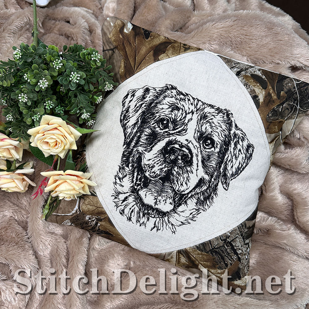 SDS4222 Pencil Sketch Rottweiler