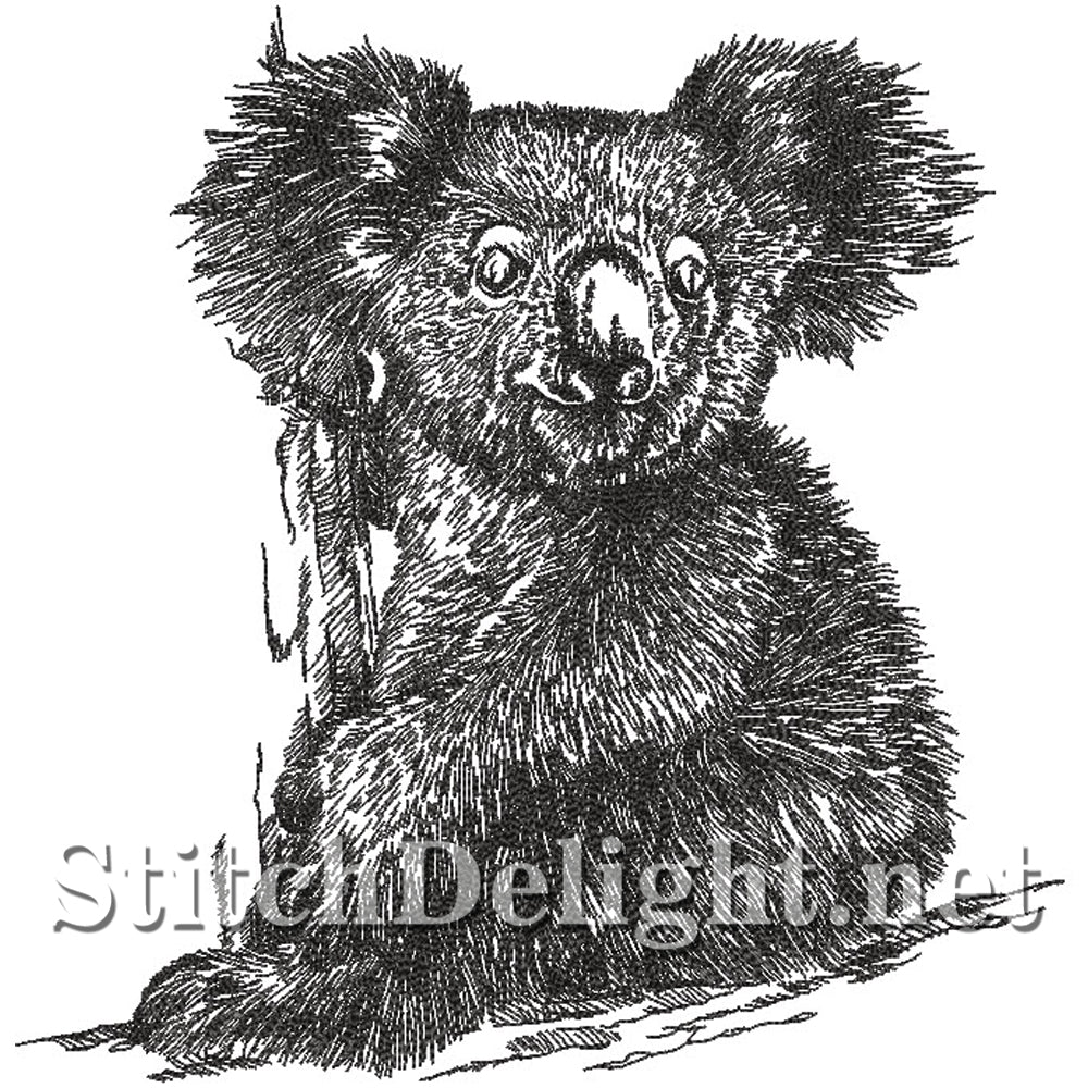 SDS4223 Pencil Sketch Koala