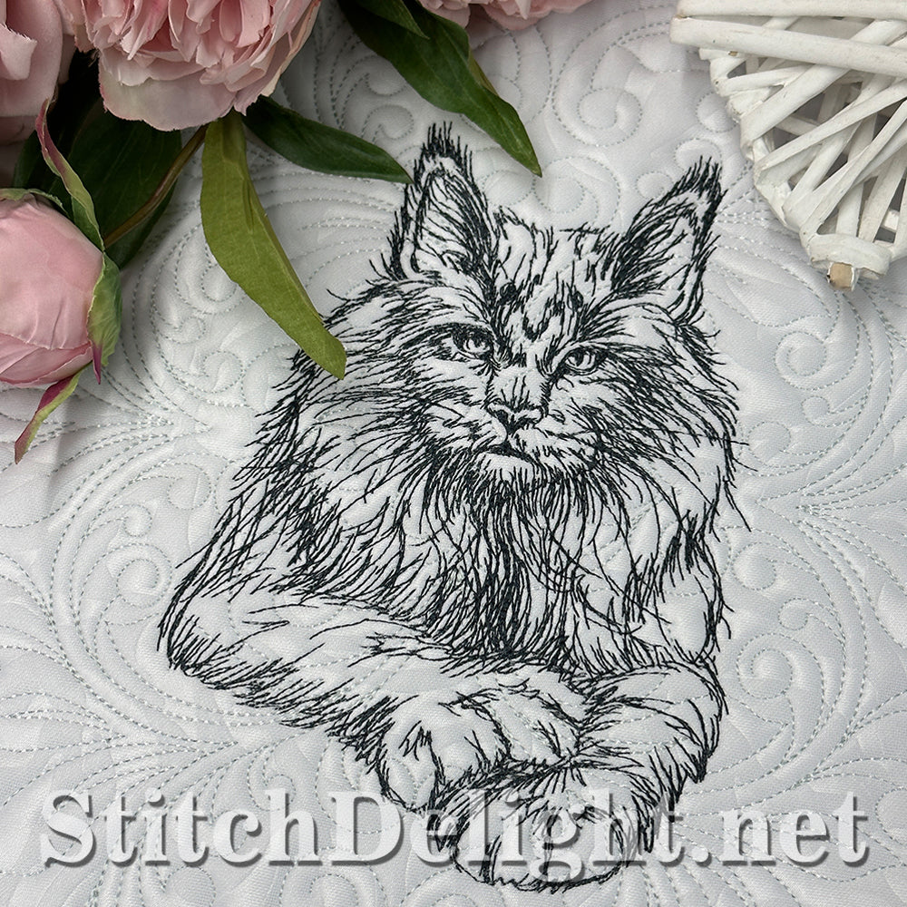 SDS4225 Pencil Sketch Maine Coon Cat