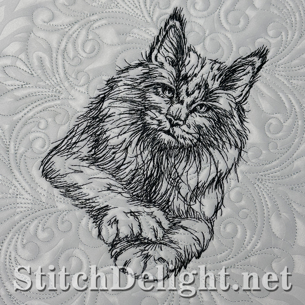 SDS4225 Pencil Sketch Maine Coon Cat