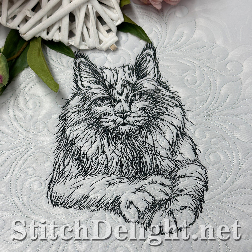 SDS4225 Pencil Sketch Maine Coon Cat