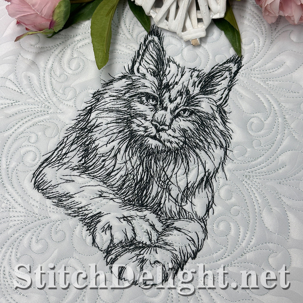 SDS4225 Pencil Sketch Maine Coon Cat