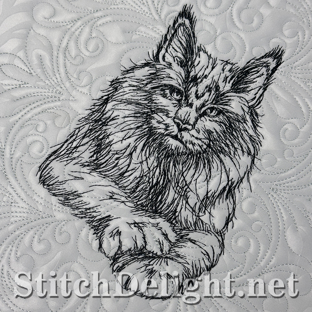 SDS4225 Pencil Sketch Maine Coon Cat