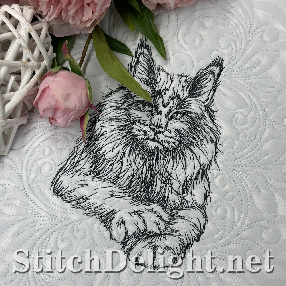 SDS4225 Pencil Sketch Maine Coon Cat
