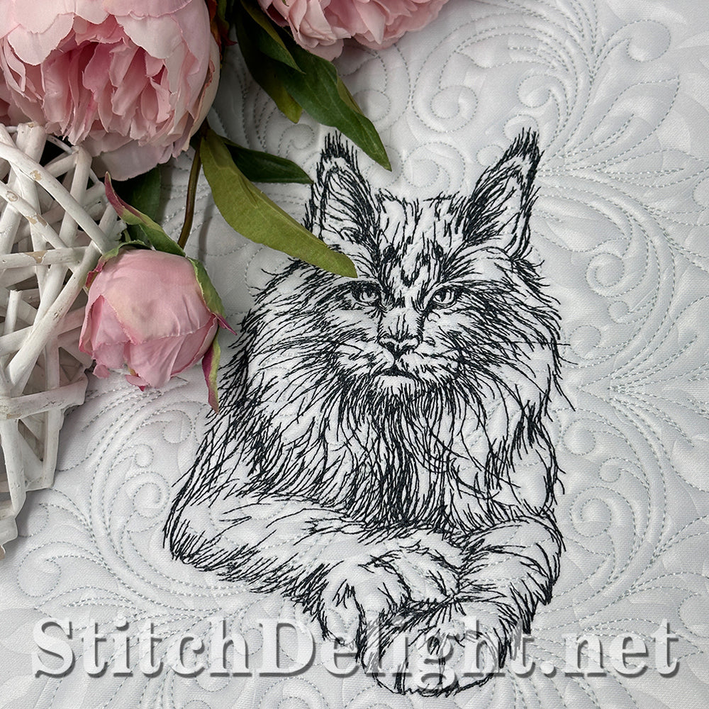 SDS4225 Pencil Sketch Maine Coon Cat