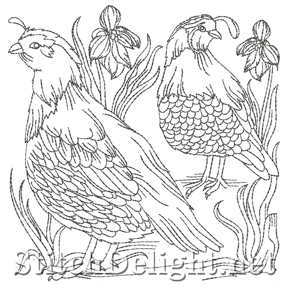 SDS5402 Natures Bird Blocks