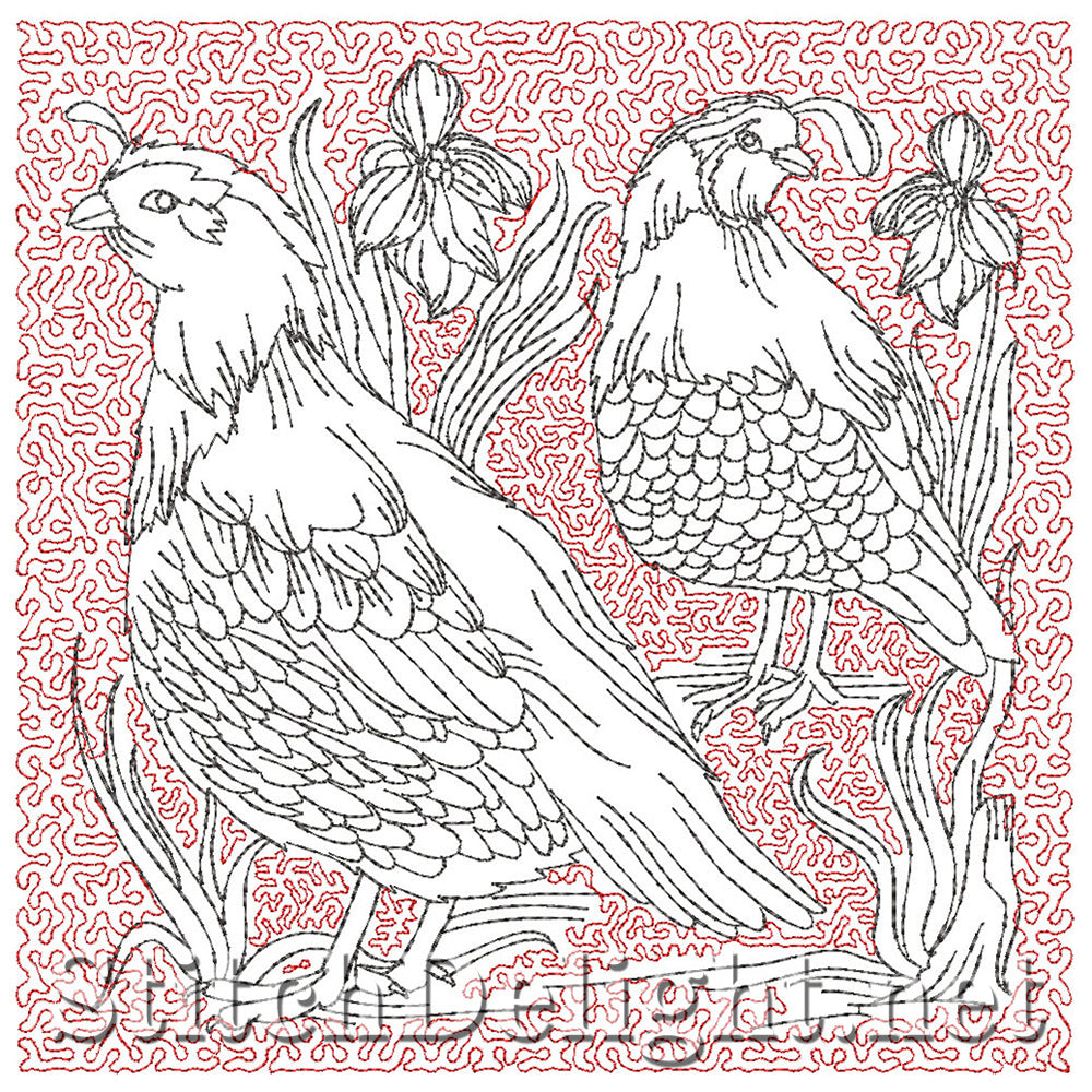 SDS5402 Natures Bird Blocks