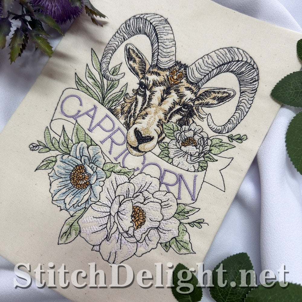 SDS3383 Capricorn