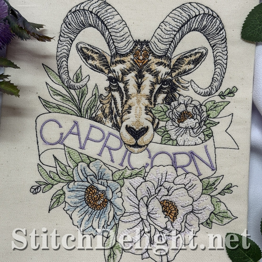 SDS3383 Capricorn