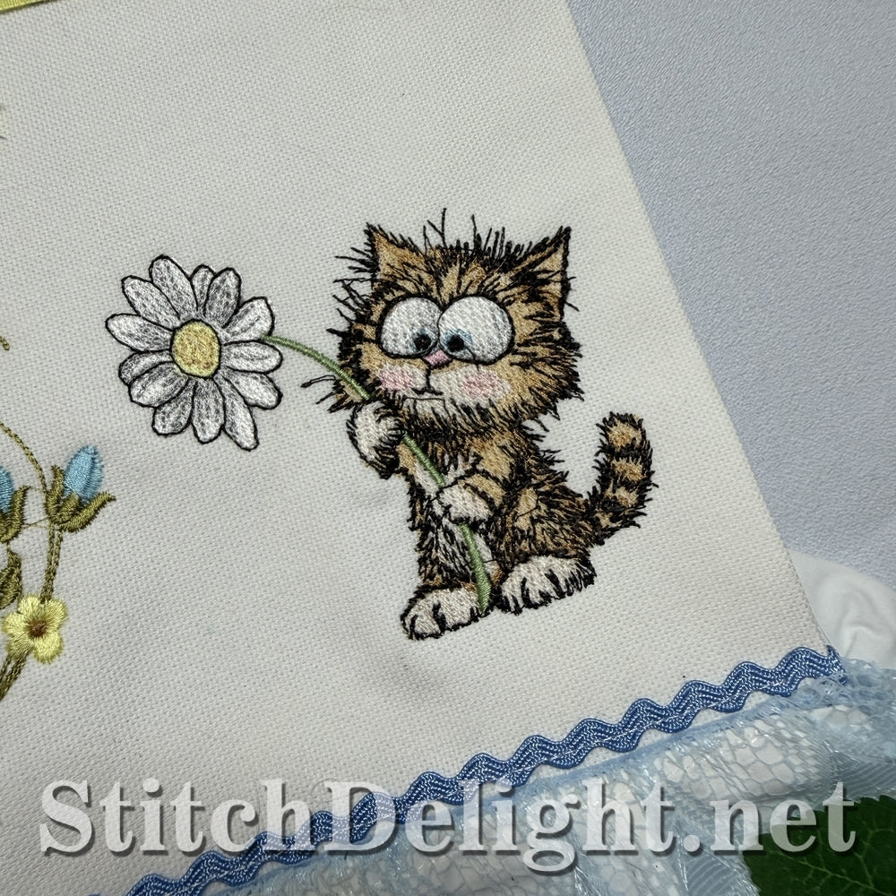 SDS3407 Scruffy Kitten 2