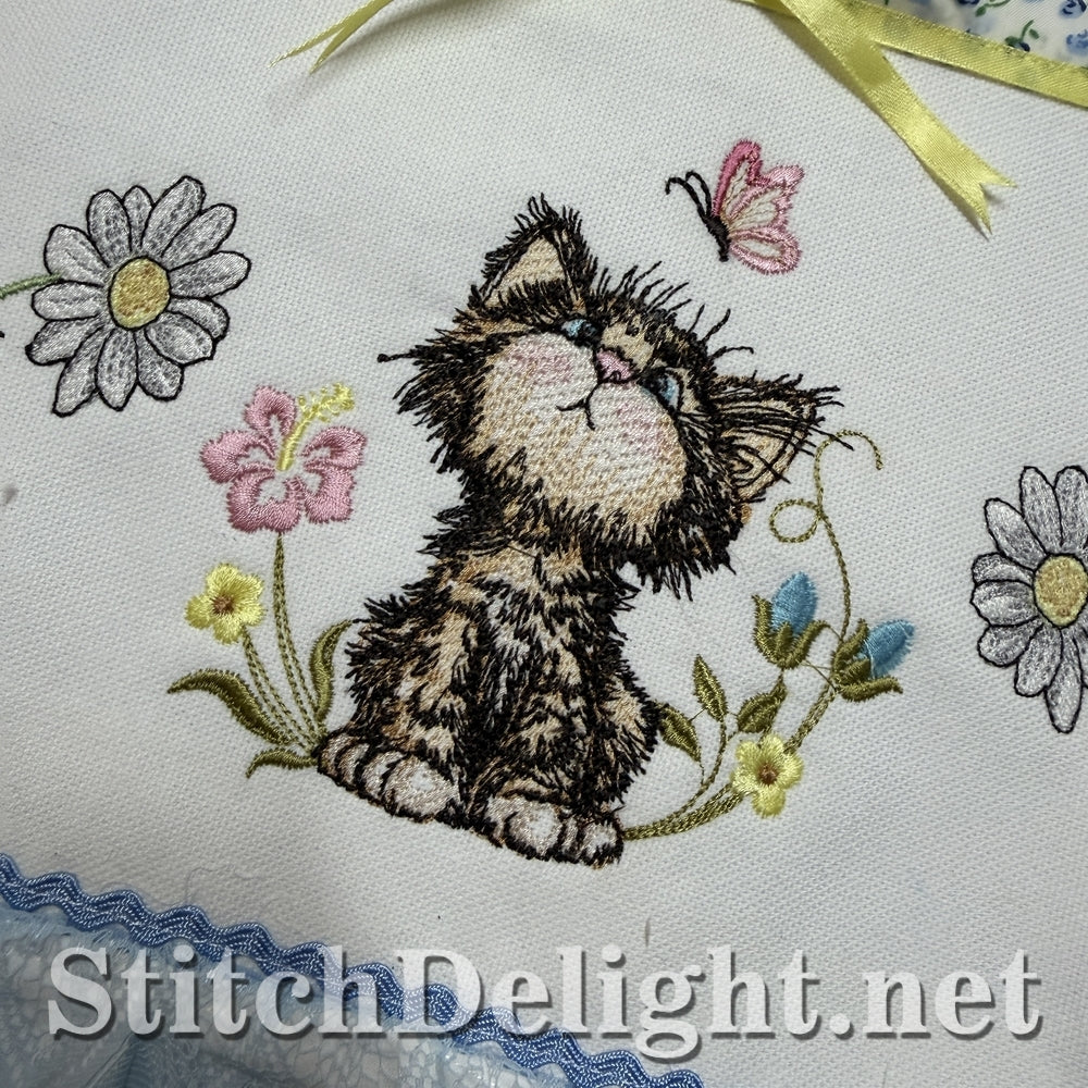 SDS3406 Scruffy Kitten