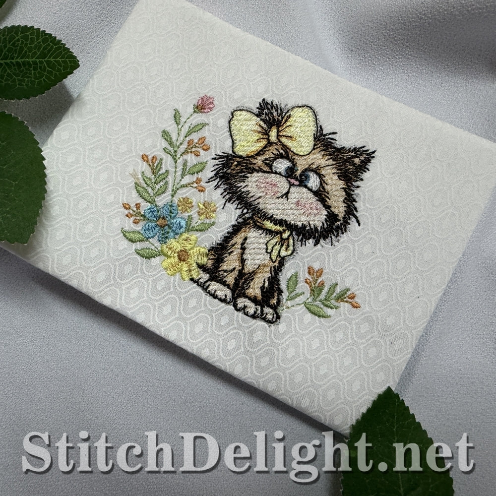 SDS3410 Scruffy Kitten 5