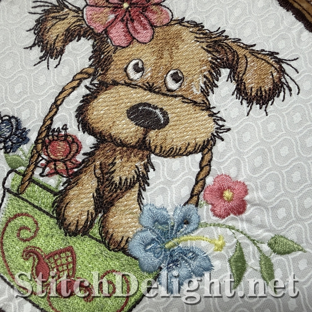 SDS3415 Adorable Puppy 2