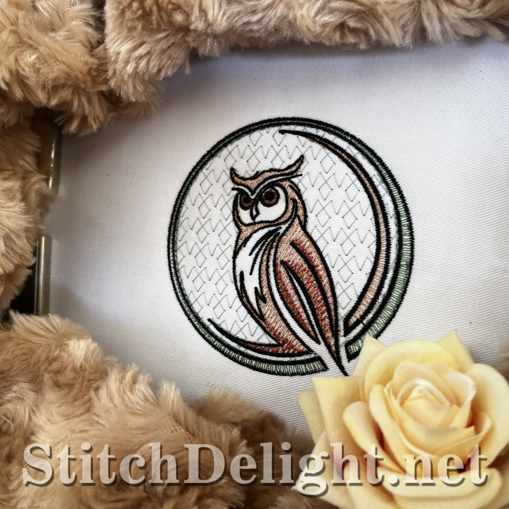 SDS3339 Owl 1