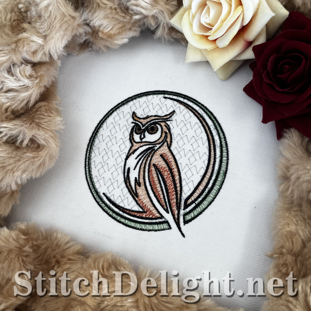SDS3339 Owl 1