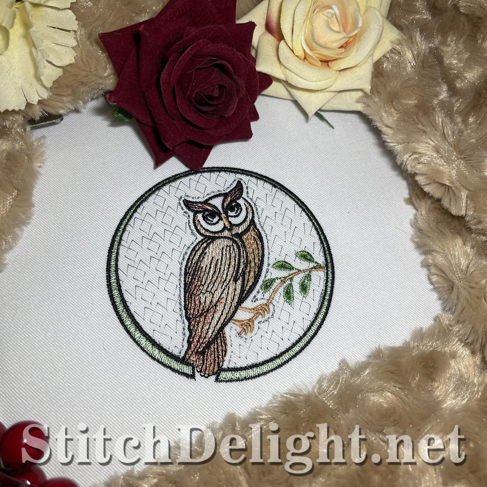 SDS3340 Owl 2