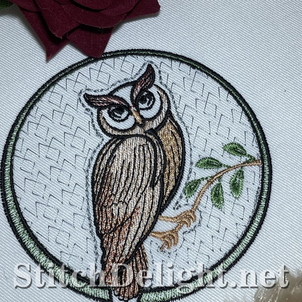 SDS3340 Owl 2