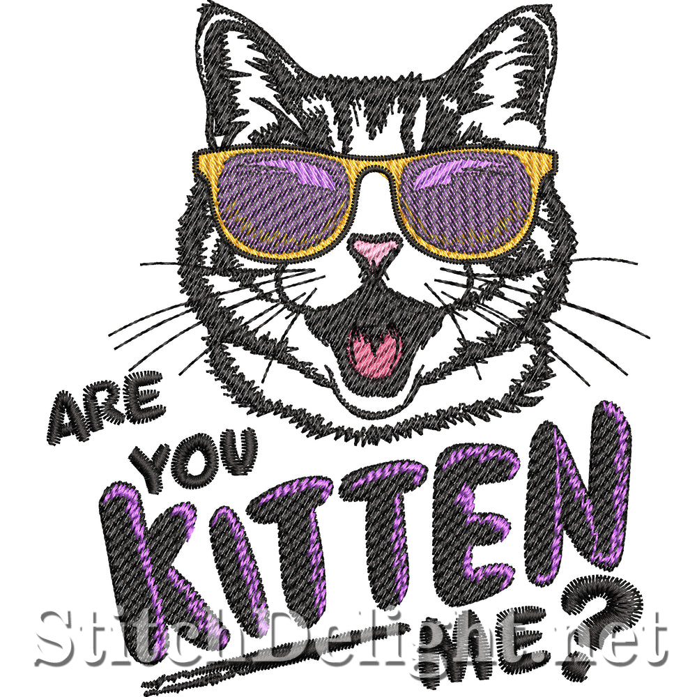 SDS3357 Are You Kitten Me