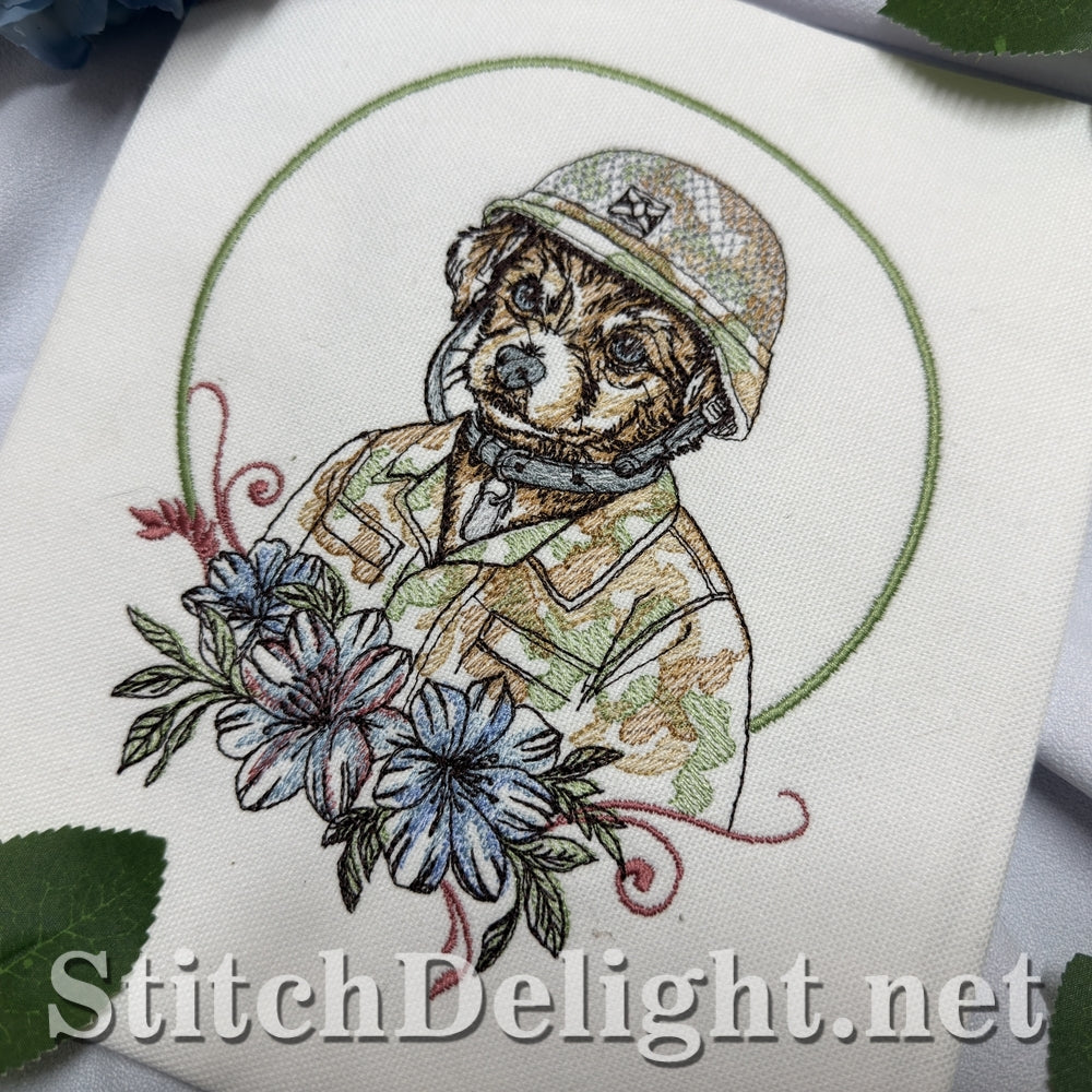 SDS3399 Little Trooper