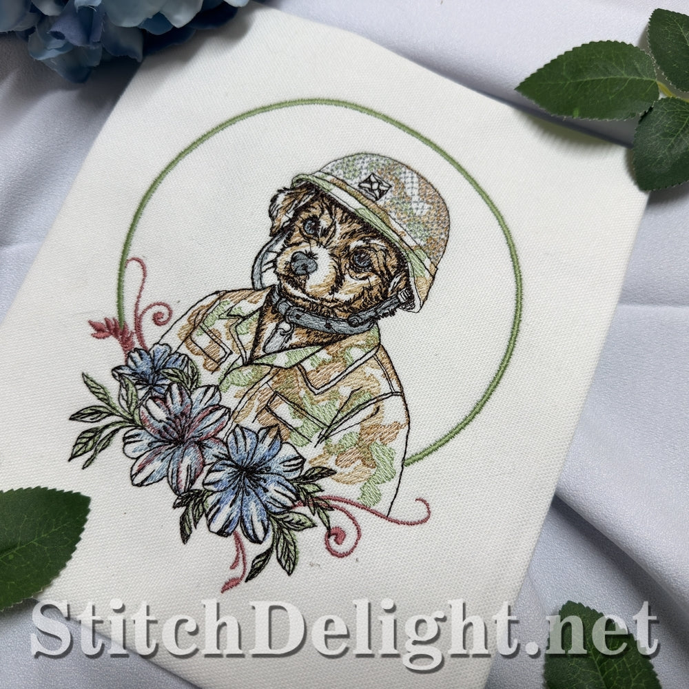 SDS3399 Little Trooper