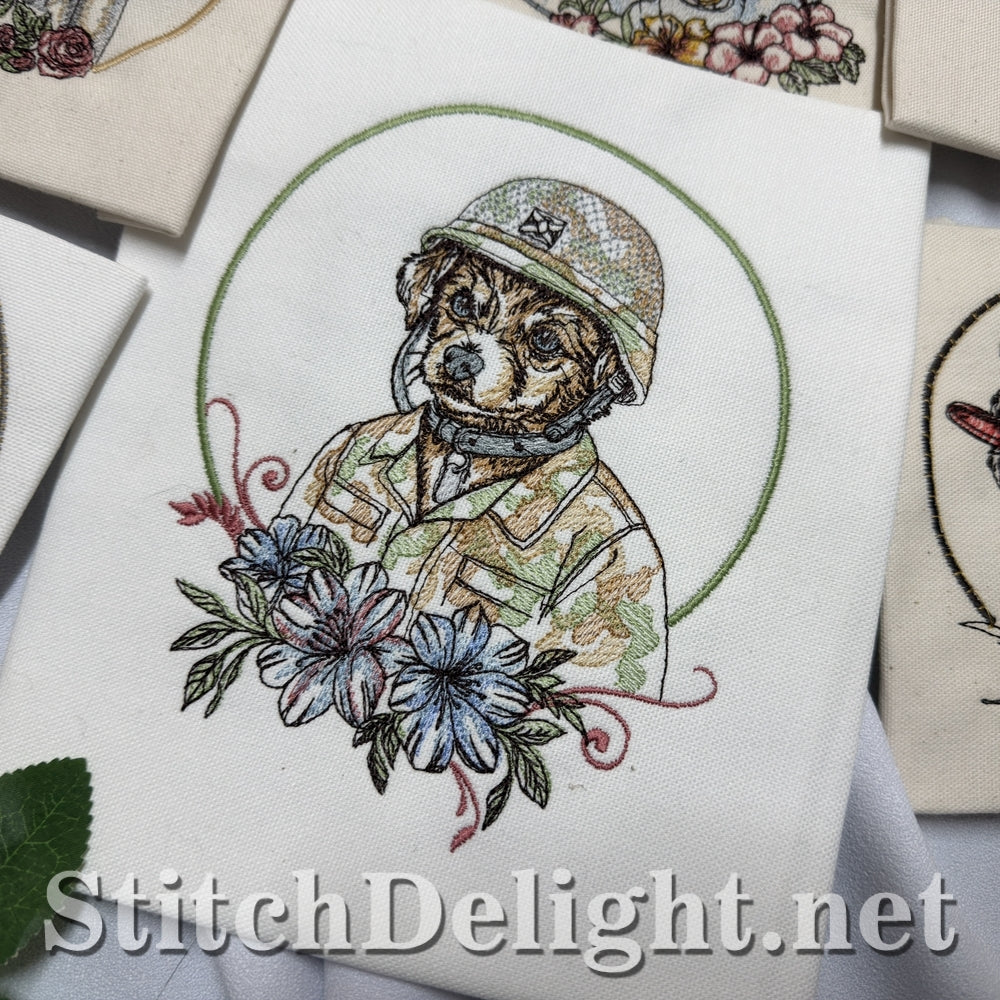 SDS3399 Little Trooper