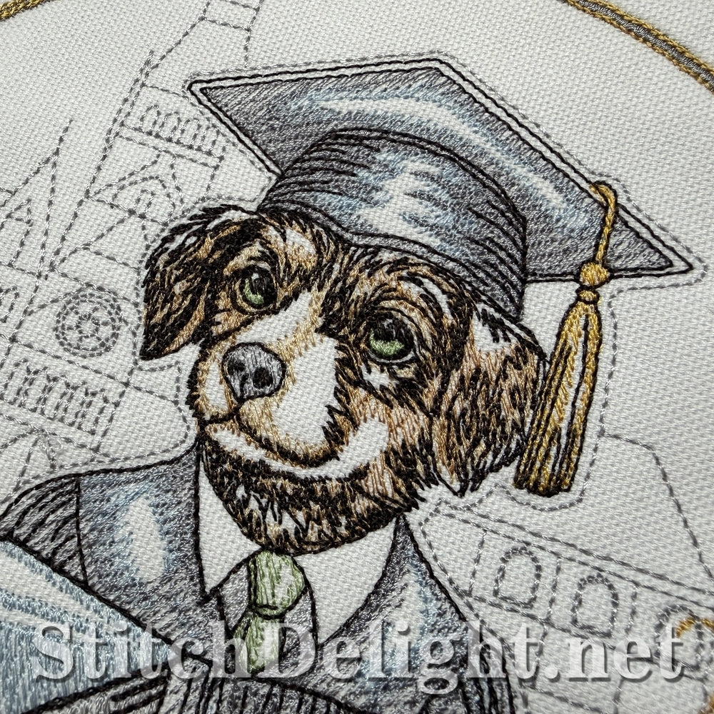 SDS3402 Little Graduate