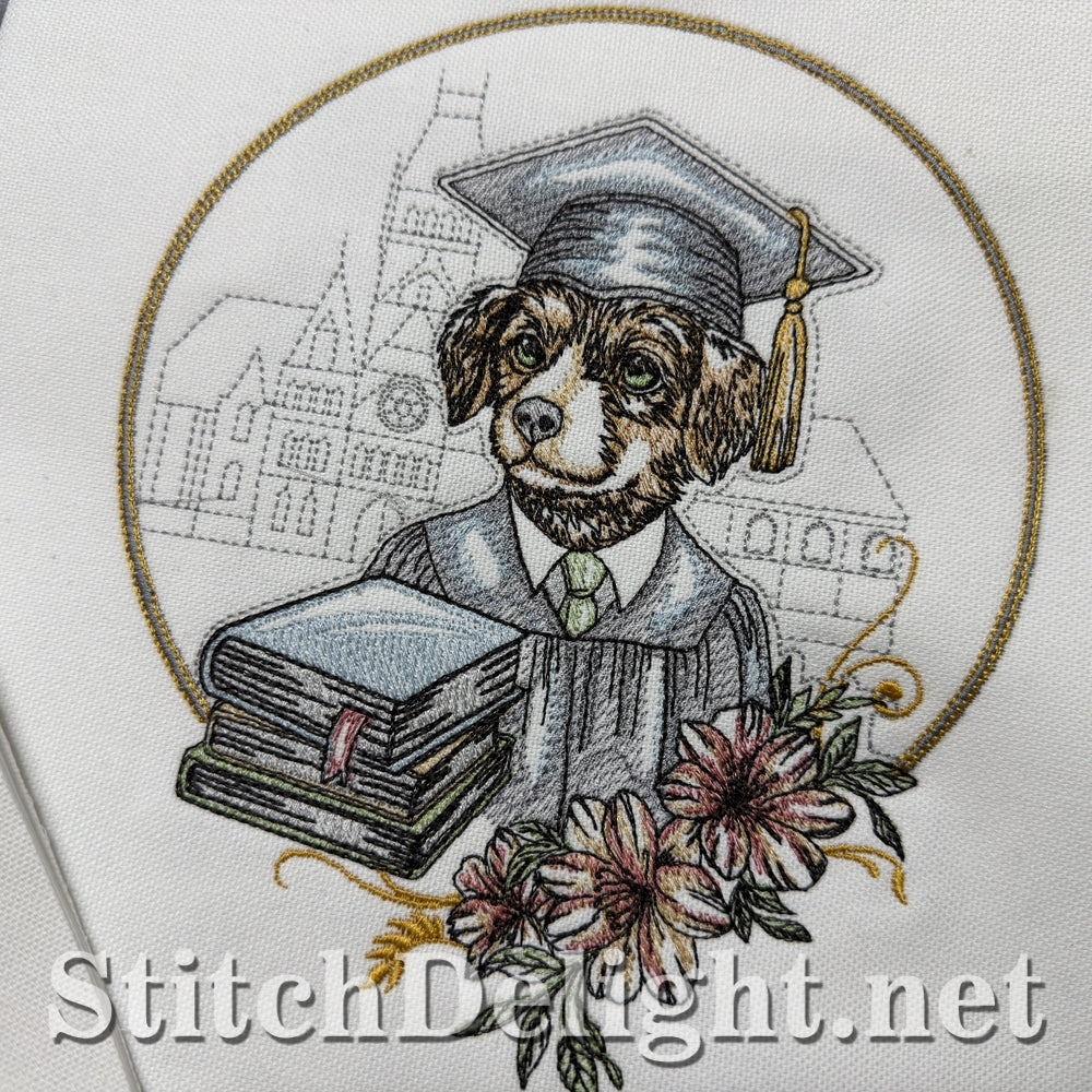 SDS3402 Little Graduate