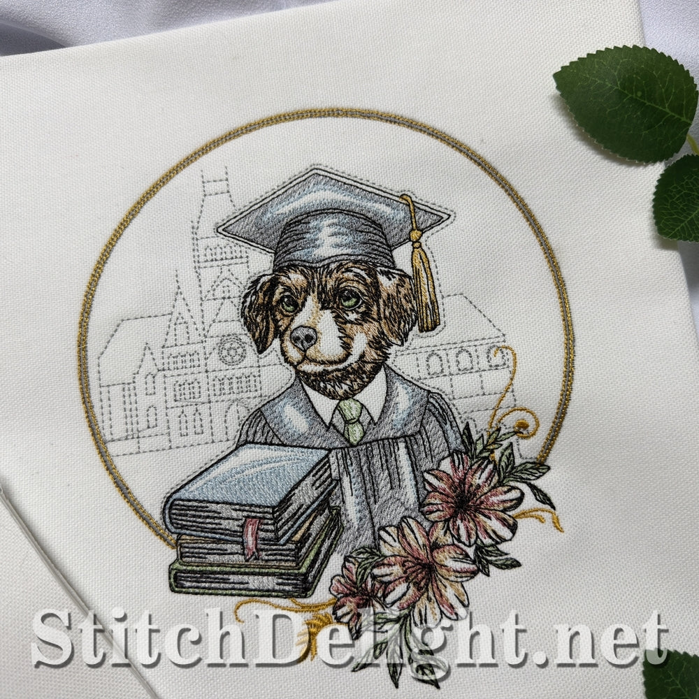 SDS3402 Little Graduate