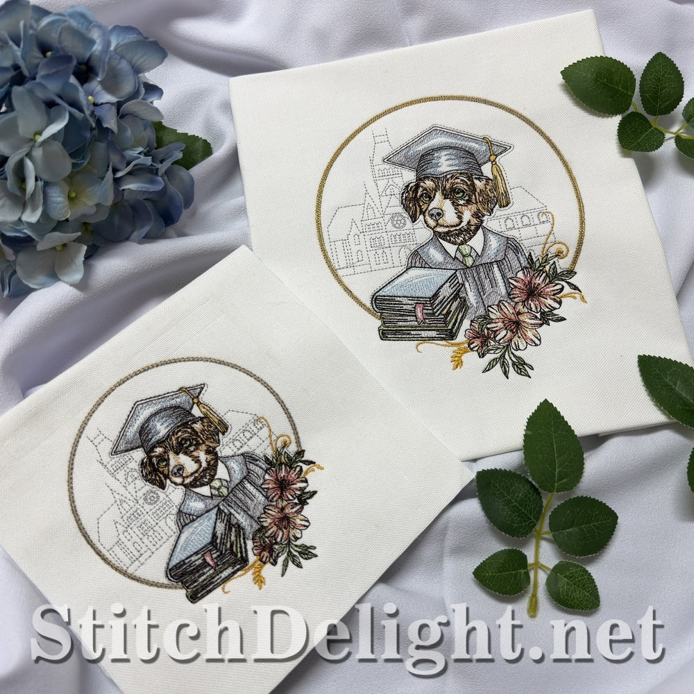 SDS3402 Little Graduate