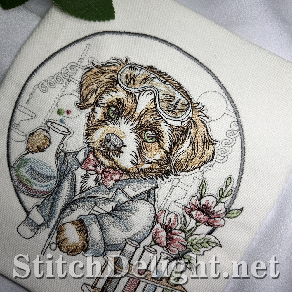 SDS3401 Little Chemist