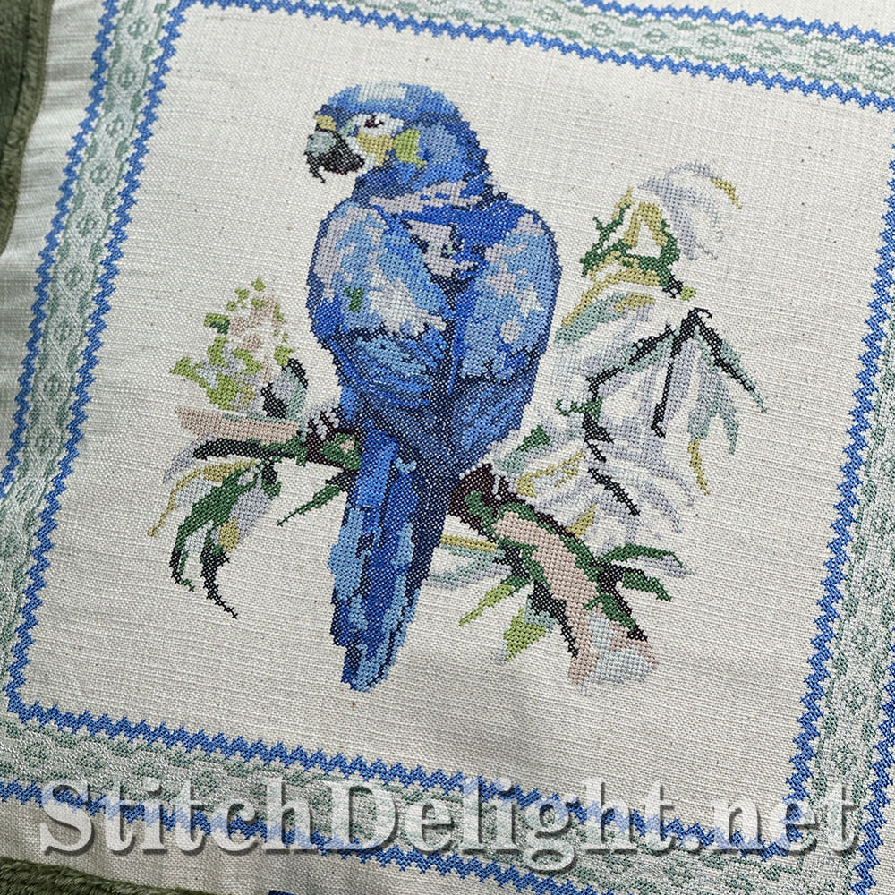 SDS4422 Blue Macaw