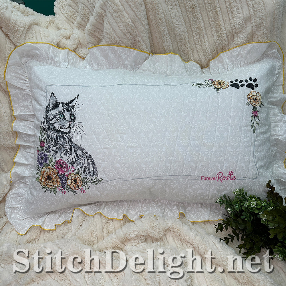 SDS3373 Turkish Angora Cat