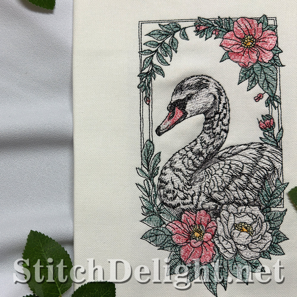 SDS4671 Swan